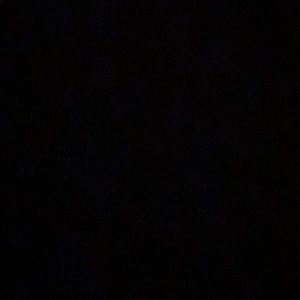 Meet your Posher, Laila